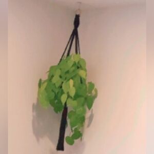 Macrame plant hanger